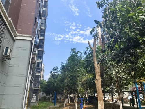 修整后.jpg